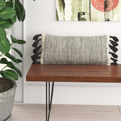 Langley Street Tassels Cotton Throw Pillow & Reviews Wayfair